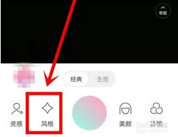 如何查看轻颜相机最爱风格特效