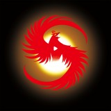 Fate of Phoenix
