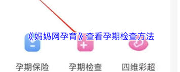妈妈网孕育如何查看孕期记录