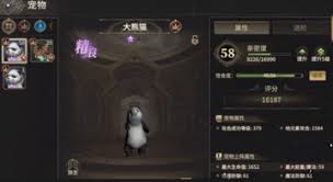 奇迹世界起源战士带什么宠物
