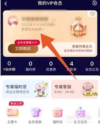 如何查询芒果tv是否自动续费