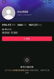 抖音此时此刻如何显示照片