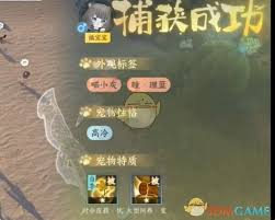 逆水寒手游如何捕捉福宝宝