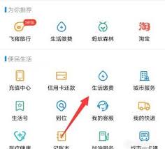 支付宝如何查每月用电量
