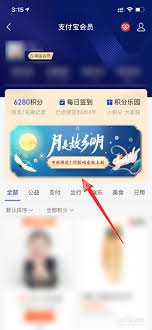 支付宝大理寺日志付款码皮肤如何获取
