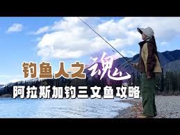 钓鱼人app如何联系客服