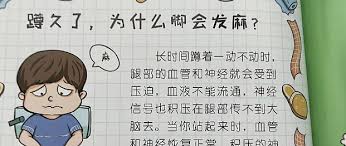 为什么蹲久了腿容易麻