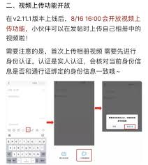 先游怎么重新进行实名认证