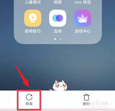 vivo保密柜相册删除了怎么恢复