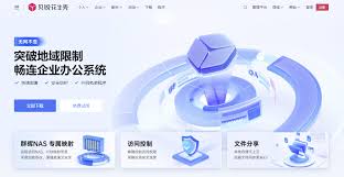 如何使用花生壳搭建OA管理软件