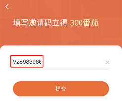 番茄免费小说如何领取2025年vip激活码