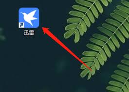 迅雷11怎么诊断下载网络信息