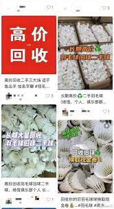 金羽毛怎么免费领取
