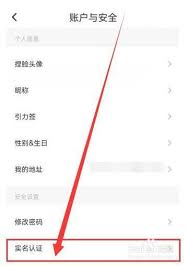 soul如何进行实名认证