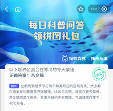 哪种企鹅会在寒冷冬天繁殖