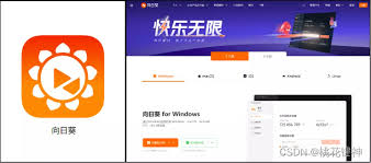 国内顶尖远程控制软件有哪些