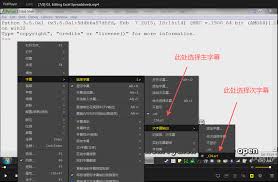 PotPlayer如何挂载字幕