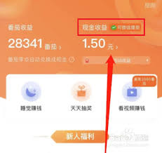 番茄畅听如何提高收益