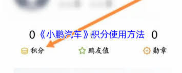 小鹏汽车app积分能干什么