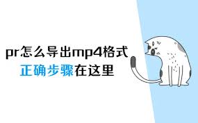 pr视频文件导出只有几kb无法正常播放如何解决