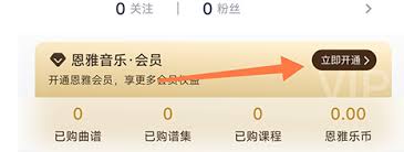 恩雅音乐app如何开通会员