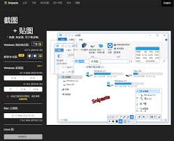Snipaste如何更改贴图快捷键