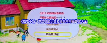 蜡笔小新煤炭镇的小白铁男问题答案有哪些