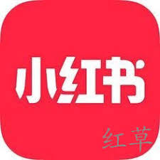小红书猜你想搜怎么重置