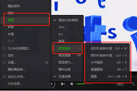 爱奇艺万能播放器如何设置老板键