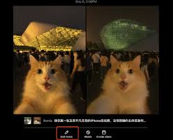 即梦ai如何制作ai猫狗短视频教程