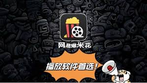百度网盘app为什么播放视频卡顿
