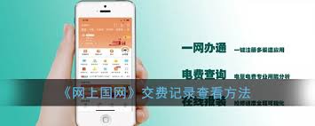 如何在网上国网查看缴费记录