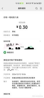 网易支付被冻结会自动解除吗