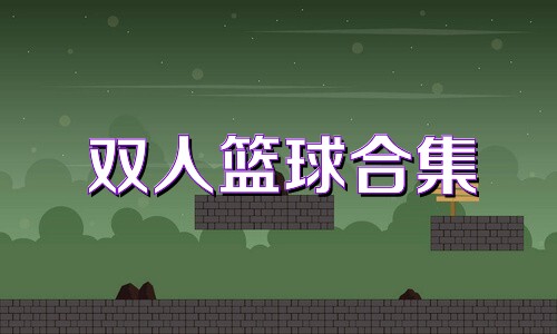 双人篮球合集