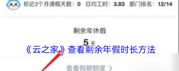 云之家如何查看年假