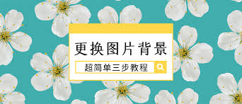 canva可画如何更换背景颜色