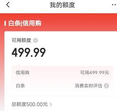 京东白条怎么使用