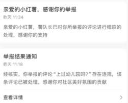 小红书举报别人别人能看见我举报吗