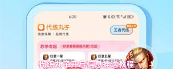 代练丸子如何撤销订单
