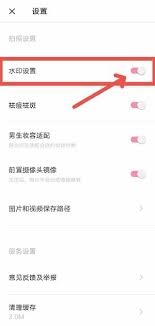 轻颜相机怎么去除水印
