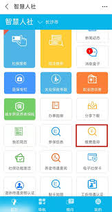 如何在支付宝查社保缴费记录