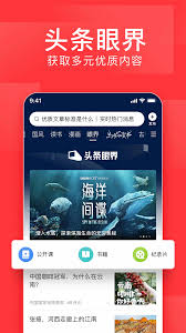 今日头条官网怎么登录