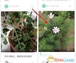 形色app如何发布鉴定