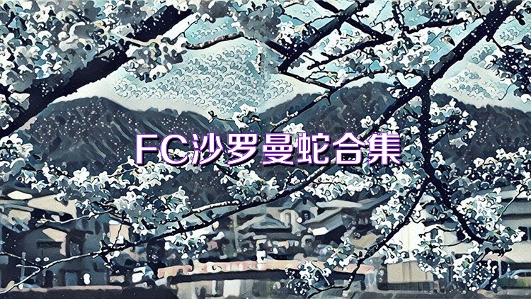 FC沙罗曼蛇合集