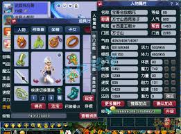 梦幻西游69级魔方寸装备怎么展示