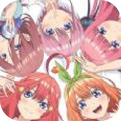 五等分的花