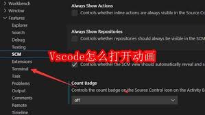 如何在Vscode中打开动画