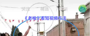 老柚如何看待短视频
