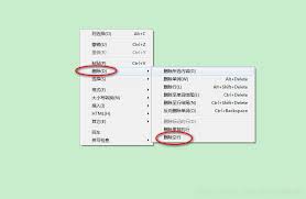 EditPlus如何删除段落首行空白