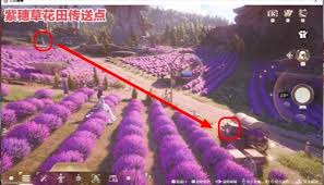 无限暖暖美美紫花海史丢丢位置在哪